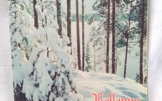 Pellervo 23-24 joulukuu 1958