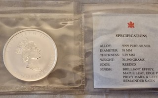 Kanada 5$ Maple Leaf privy Hevonen 2002