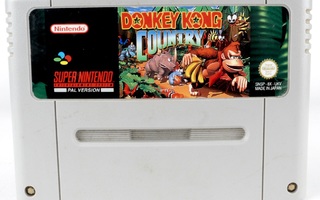 Donkey Kong Country