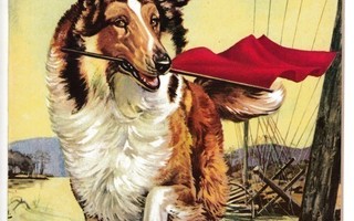 LASSIE 1972 2 (kustantajan lukematon arkistokappale)