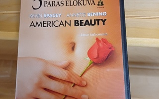 American beauty DVD