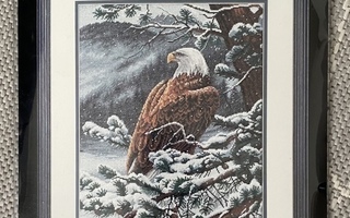 Eagle's Eye View (Dimensions Gold) ristipistopakkaus