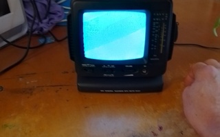 Mini televisio