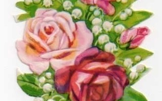 PZB 1347 / Vaaleanpunaiset ruusut ja kieloja.