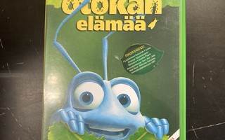 Ötökän elämää DVD (VG+/VG+) -animaatio-