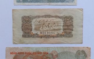 Vietnamin seteleitä