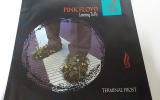 PINK FLOYD - LEARNING TO FLY VAIN KANNET EX 7"