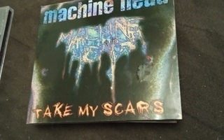Machine Head : Take My Scars