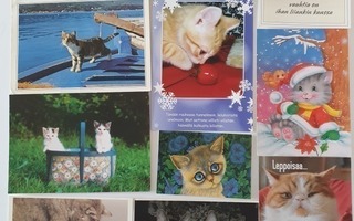 Kissa postikortteja 17 kpl