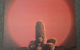 Cactus : Cactus