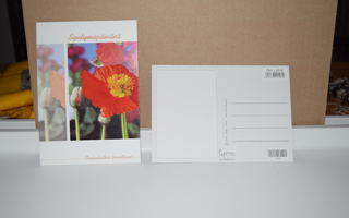 postikortti kukka syntymäpäivänä onnenhetkiä toivottaen