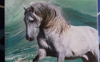 Hevoskirja Täydellinen hevonen