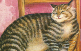 Kortti: Kissa lepää tuolilla