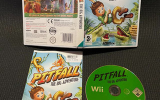 Pitfall The Big Adventure Wii - CiB