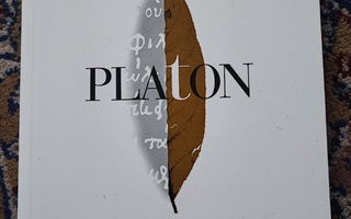 Platon Teokset 4 Valtio