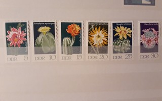 DDR 1970 - Kaktuksia (6)  ++