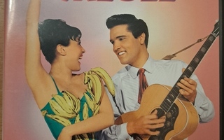 ELVIS - KING CREOLE  DVD