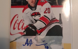 Aleksi Heponiemi - AHL Charlotte Checkers nimmari