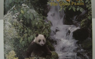 The Giant Panda Jättiläispanda - kuvakirja