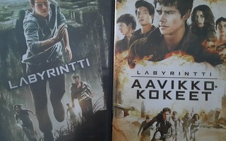 LABYRINTTI & AAVIKKOKOKEET - DVD