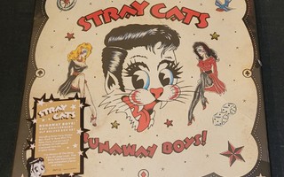 STRAY CATS: Runaway Boys! The Anthology *4LP+kirja boxi