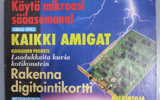 MikroBitti nro 1/1993