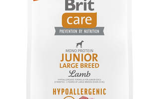 BRIT Care Hypoallergenic Junior Large Breed Lamb