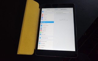 iPad mini 2