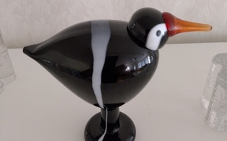 Oiva Toikka Black - Collared  Swallow numeroitu  IITTALA