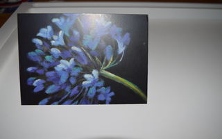 postikortti (A) kukka  ALE