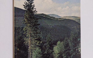 Ian Anthony Anderson : Forestry in the British Scene