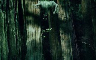 WOODSHOCK	(52 618)	UUSI	-SV-	DVD		kirsten dunst	2017