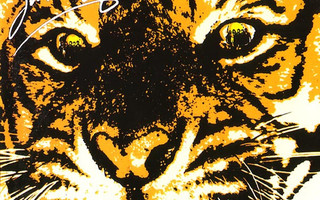 Survivor - Eye Of The Tiger (CD) NEAR MINT!! Vanha painos