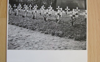 VANHA Valokuva Sankarihaudat Karuna 1940-l