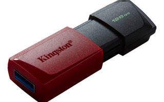 Kingston 128GB USB3.2 Gen 1 DataTraveler Exodia M