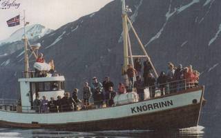 Laiva m/b Knörring  Iceland     p175