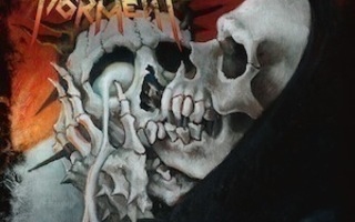 Ceaseless Torment: The End They Bring -cd (UUSI)