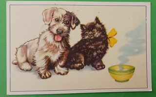 Koira ja kissa ruokakupilla, p. 1962