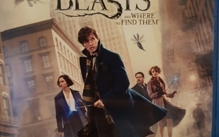 Blu-ray Fantastic Beasts And Where To Find Them