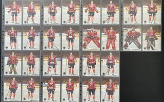 13-14 Ässät Team Issue