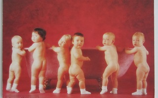Anne Geddes 1995 , kuusi vauvaa, kulkematon