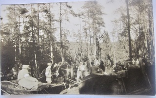 Valokuva Viipuri 1919 Suojeluskunta Vapaussota 1. Vuosipäivä