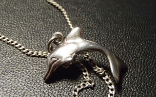 Delfiiniriipus ketjulla, hopeaa