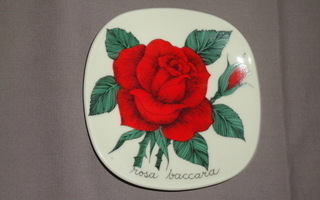 Rosa Baccara Esteri Tomula Arabia Ruusu seinälautanen