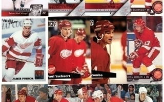 13 x DETROIT RED WINGS mm. Cleary, Holmström....