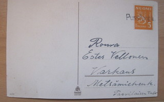 VANHA Postikortti Rivileima Pussilanjoki 1949