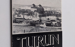 Turun linna