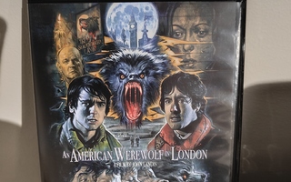 An American Werewolf In London 4K UHD Blu ray