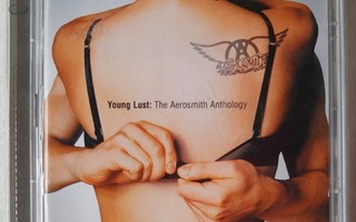 Young Lust  - The Aerosmith Anthology CD x 2