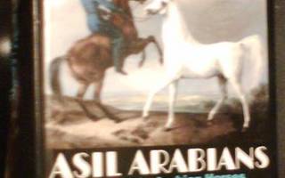 Asil Araber, ASIL ARABIANS IV - Arabians edle Pferde...